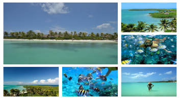 PARADISE ISLANDS DISCOVERY